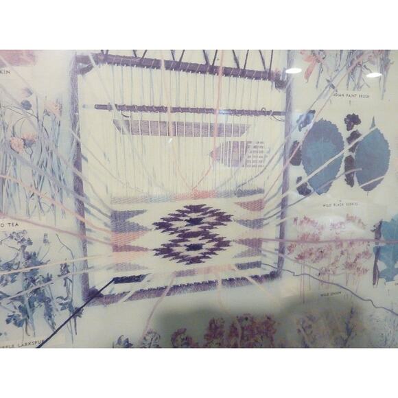 Vintage Framed Navajo Plant Dye Chart Print Ella Myers - Picture 5 of 9